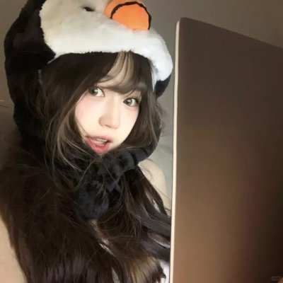 报告王爷，王妃是只猫2